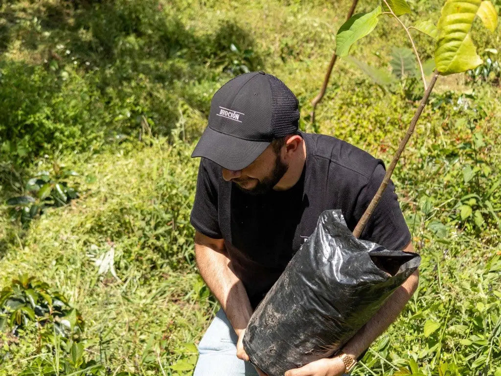 DEVOCIÓN IS B CORP CERTIFIED