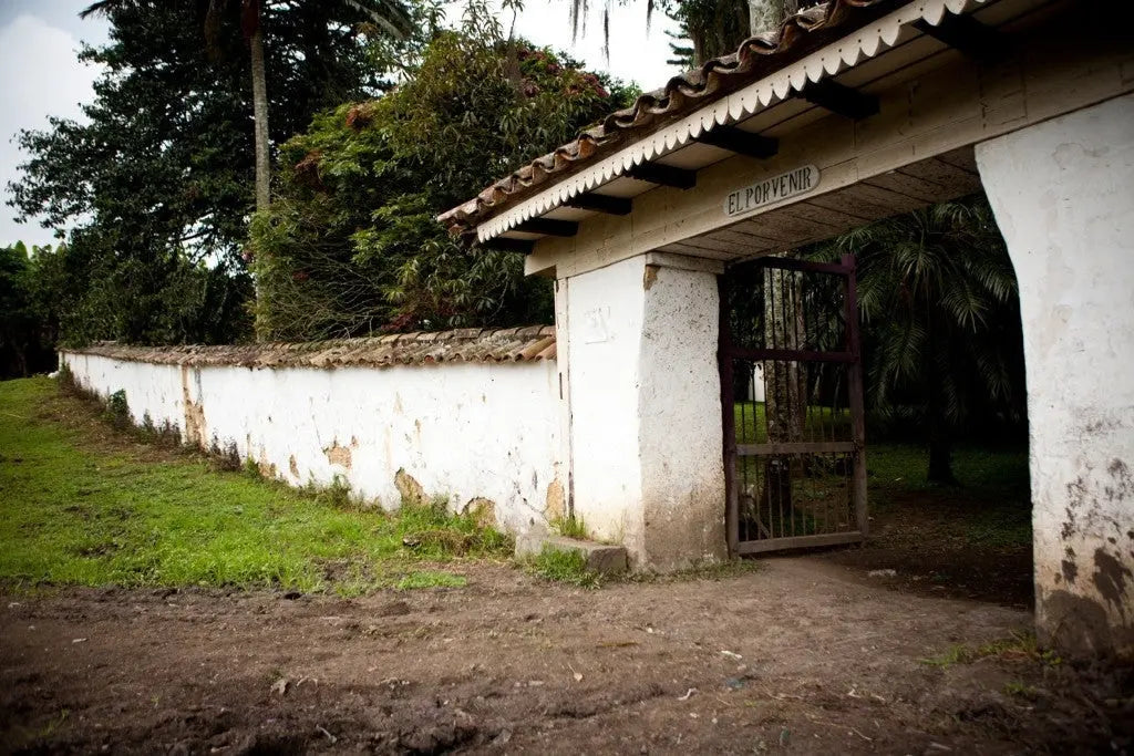 The Arrival of Coffee to Cundinamarca: The Case of El Porvenir