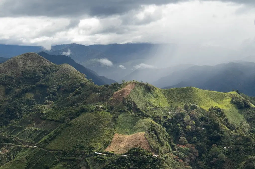 INTRODUCING OUR SUSTAINABILITY PROGRAM 2026