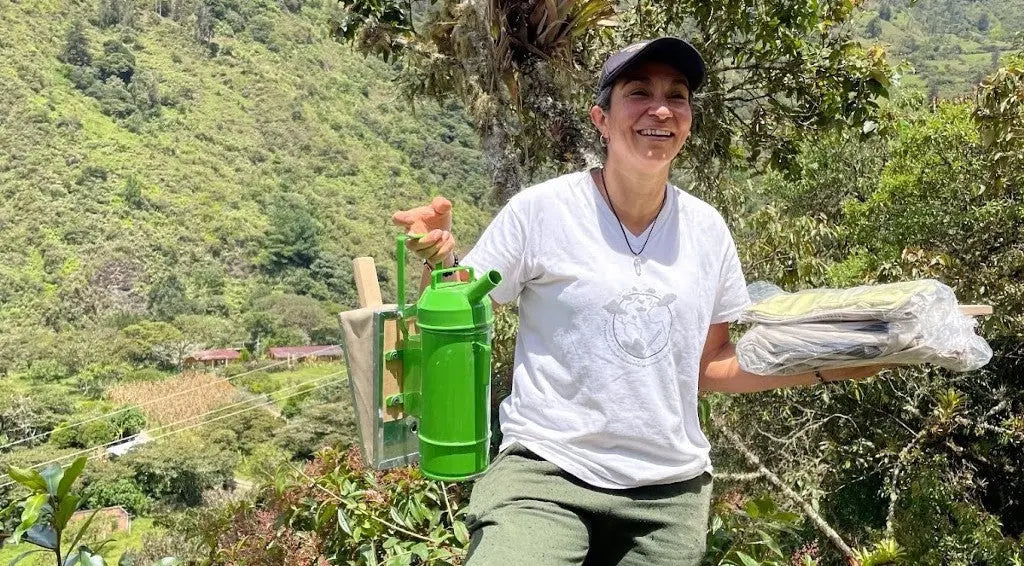 LIKE A BEE IN A HONEYCOMB