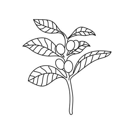 image for 