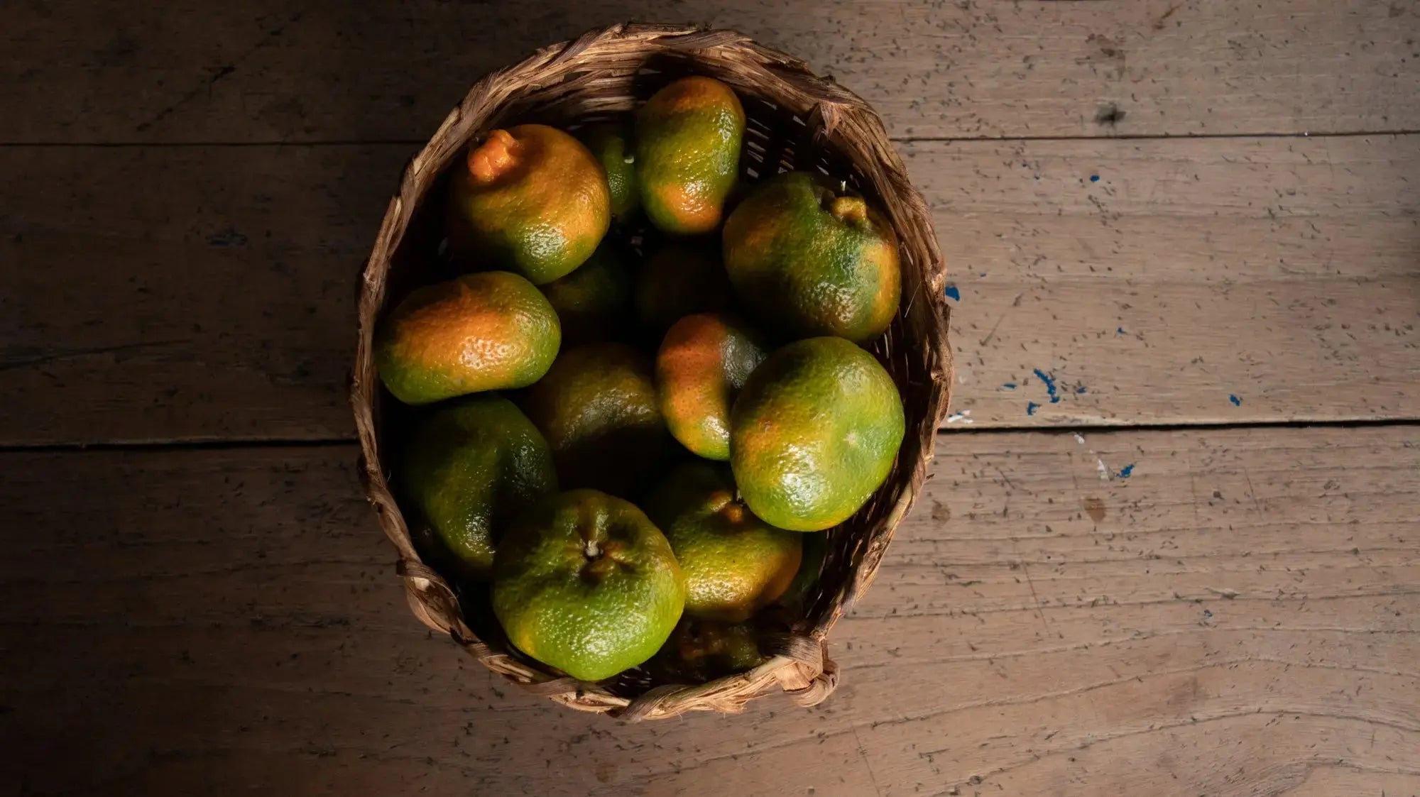 Devoción  CITRUS - 5LB