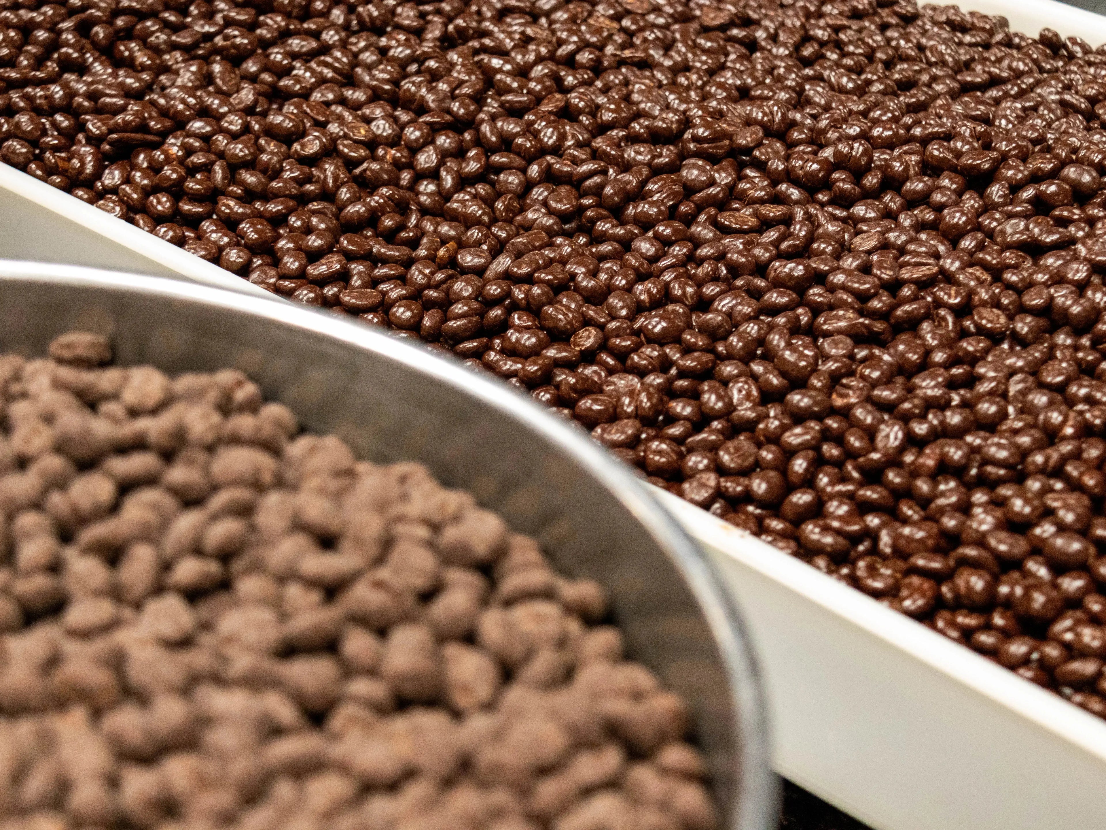 Devoción  DARK CHOCOLATE COVERED COFFEE BEANS