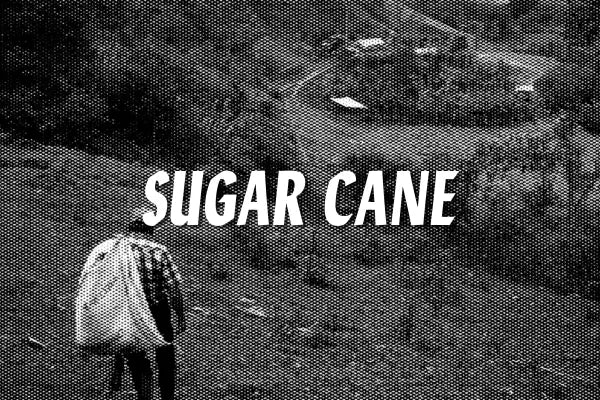 Devoción  DECAF - 5LB