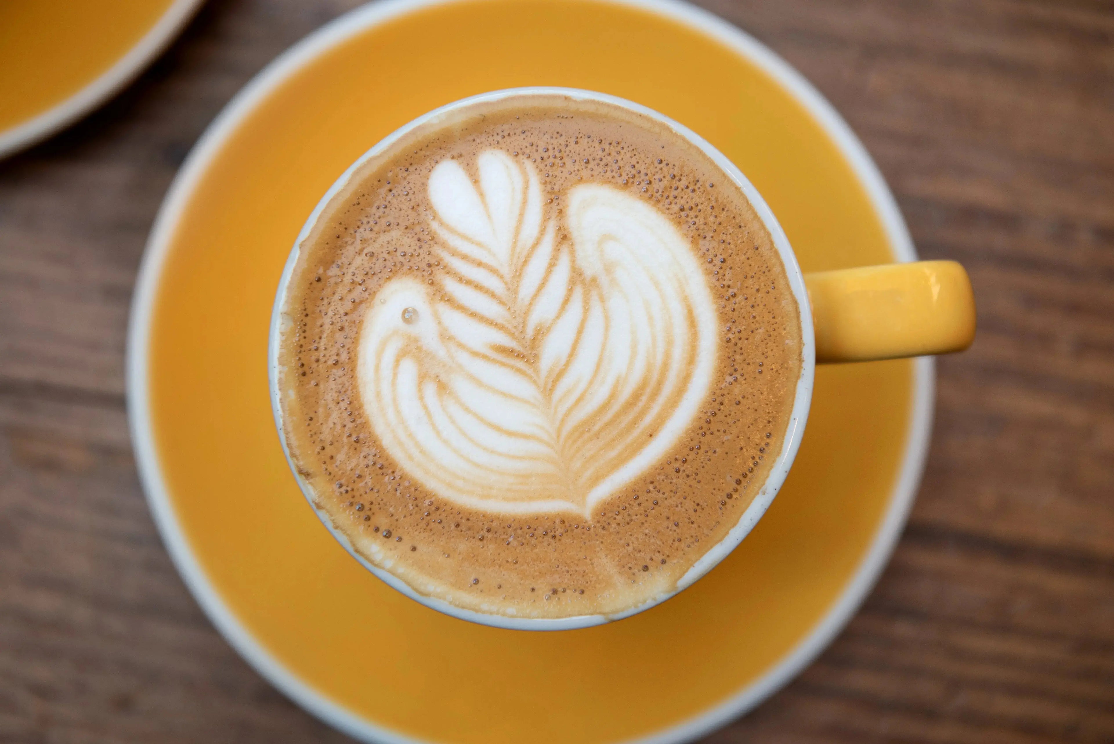 Devoción  DEVOCIÓN SIGNATURE COFFEE CUP & SAUCER