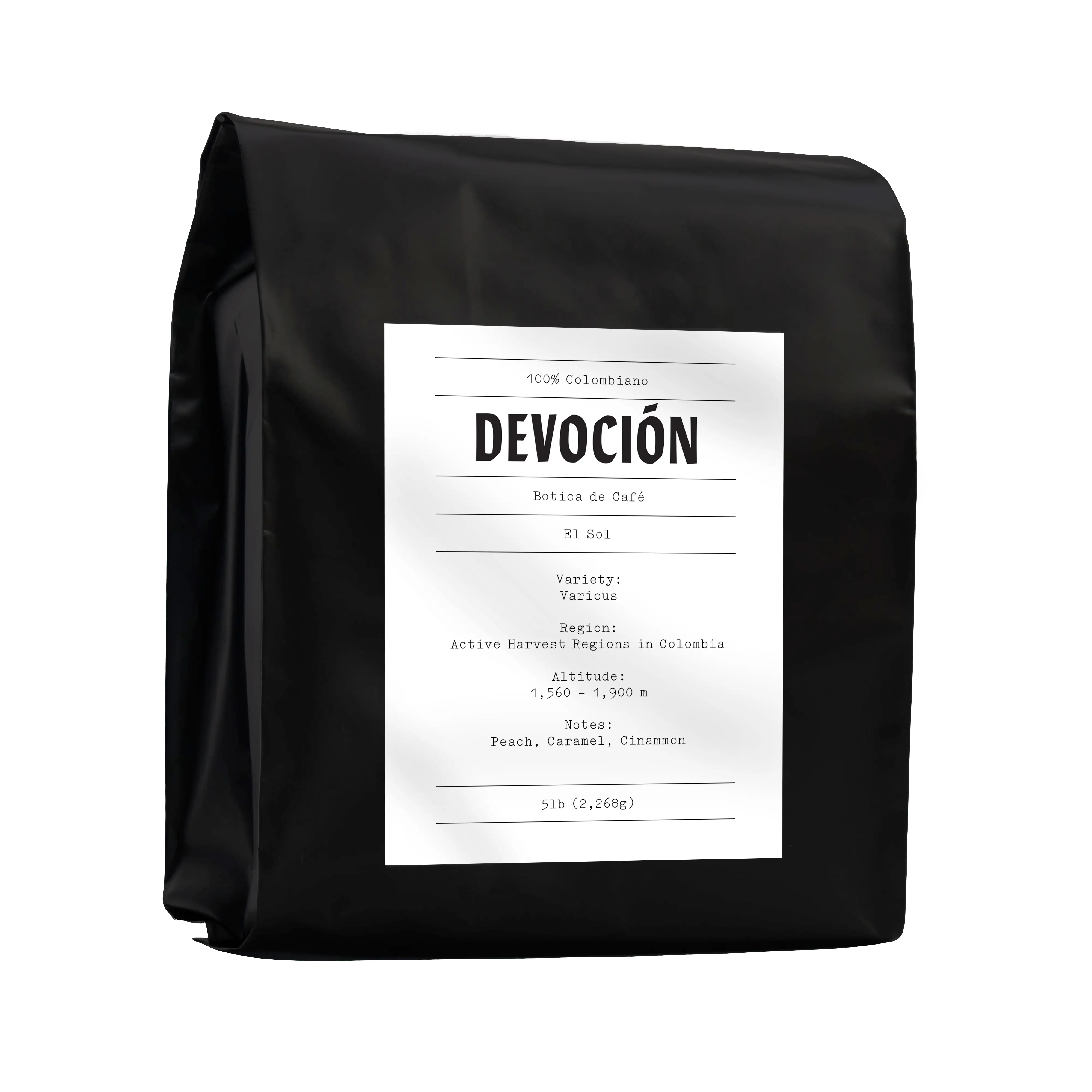 Cold Water Souls 洋書:ペーパーバック Cold Water Souls 洋書:ペーパーバック