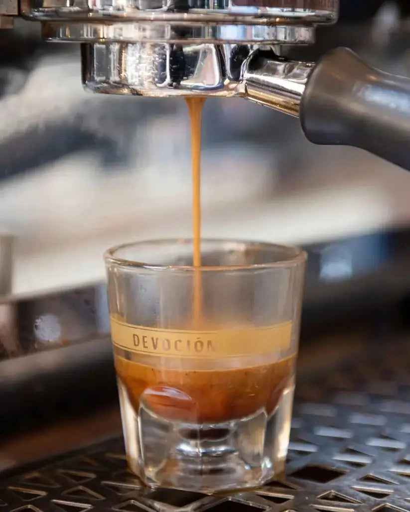 Devoción  GIBRALTAR CORTADO GLASS