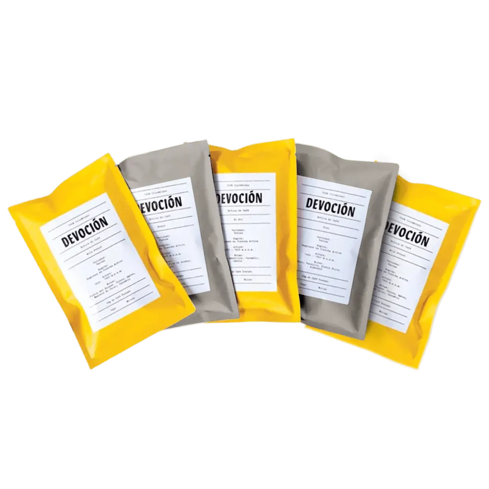 HOUSE BLEND SAMPLER | Devoción