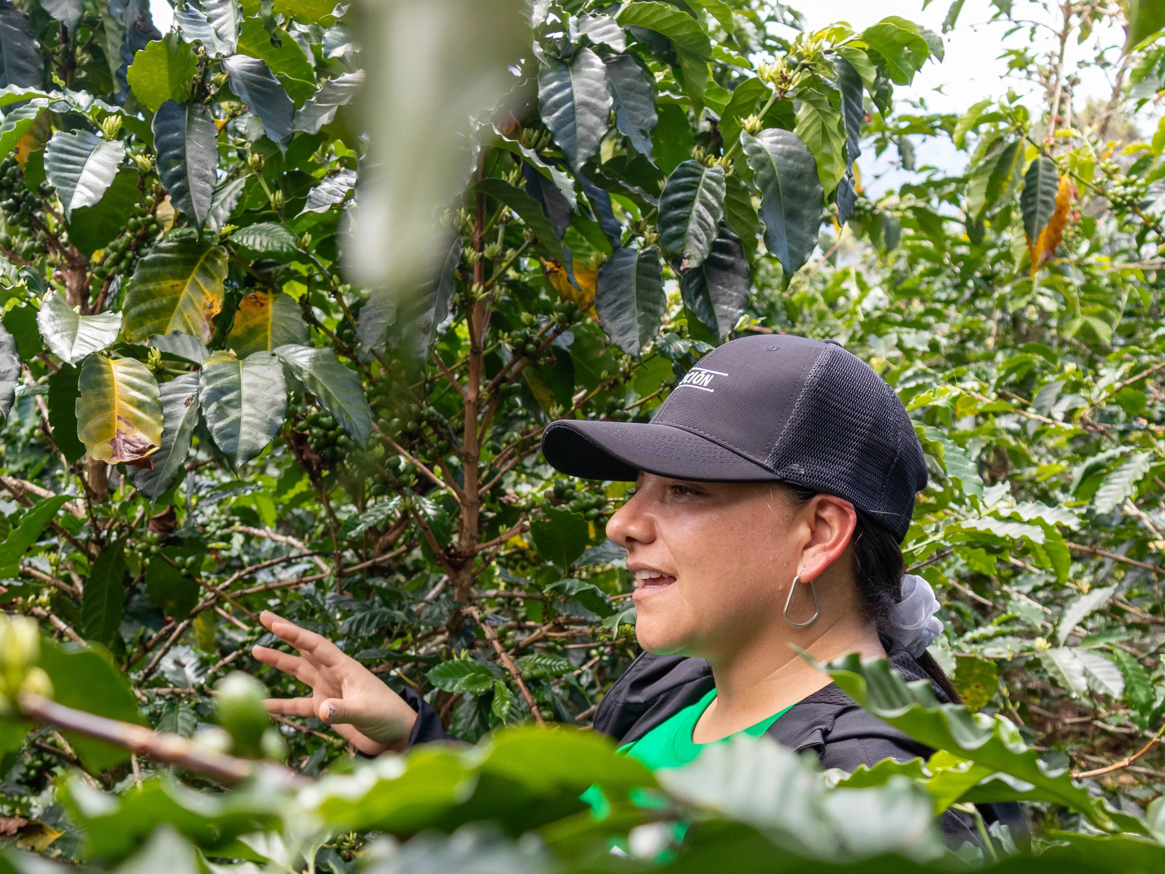 LA DIVINA - WOMEN IN COFFEE