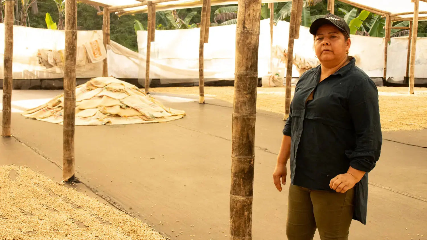 Devoción  LA LIBIA - WOMEN IN COFFEE - 5LB