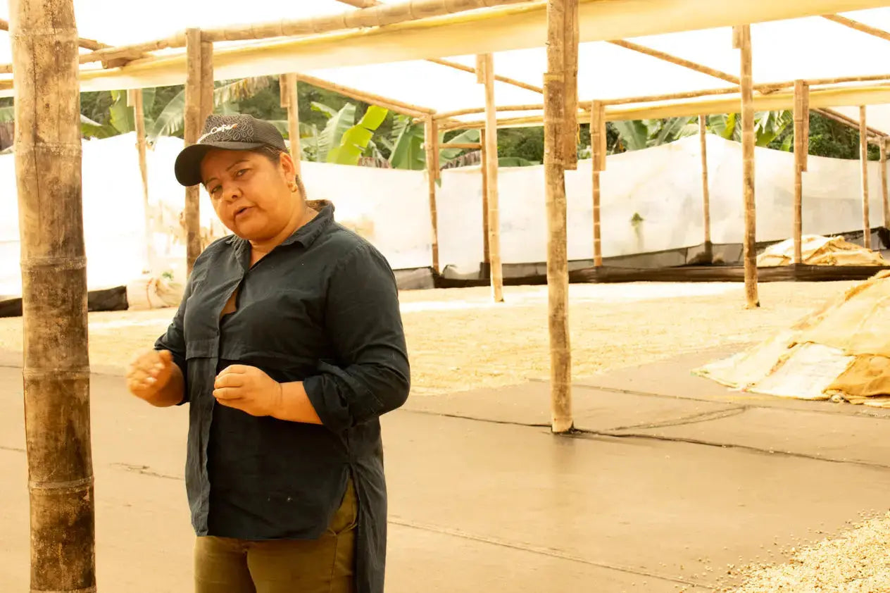 Devoción  LA LIBIA - WOMEN IN COFFEE