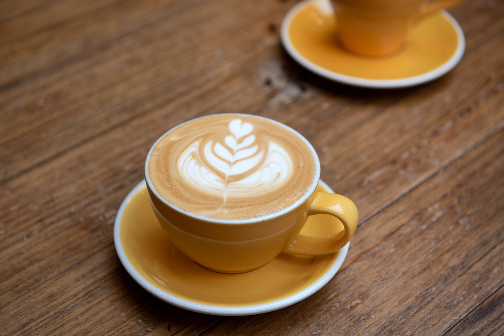 LATTE ART CLASS Devoción