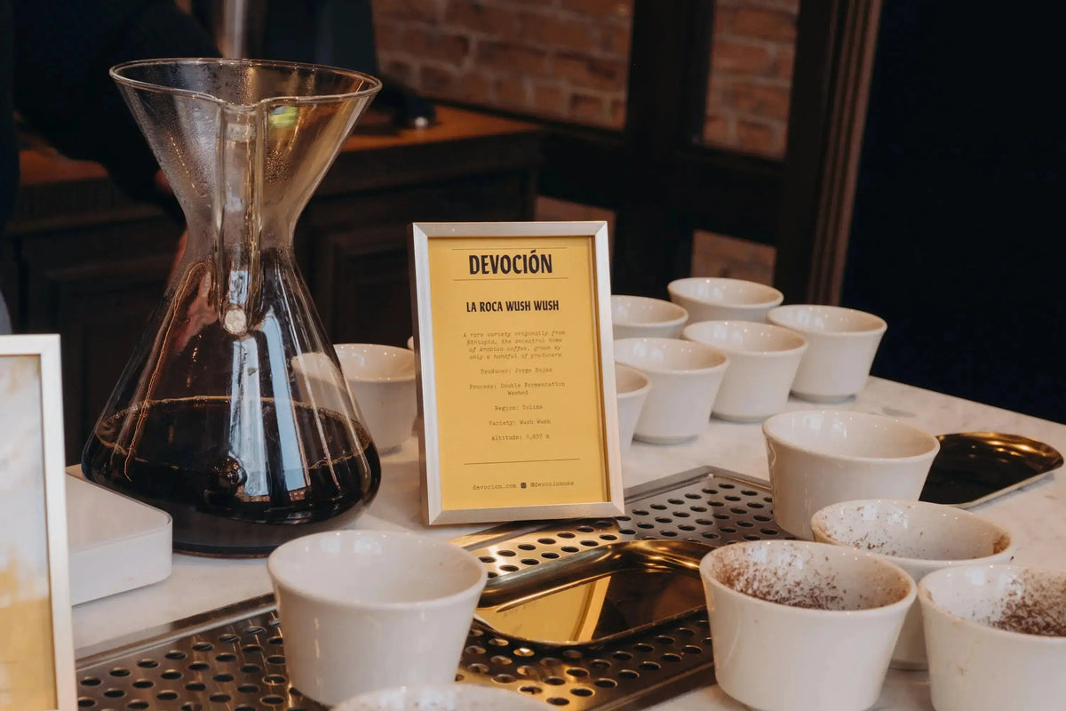 POUR OVER COFFEE CLASS | New York | Devoción Coffee