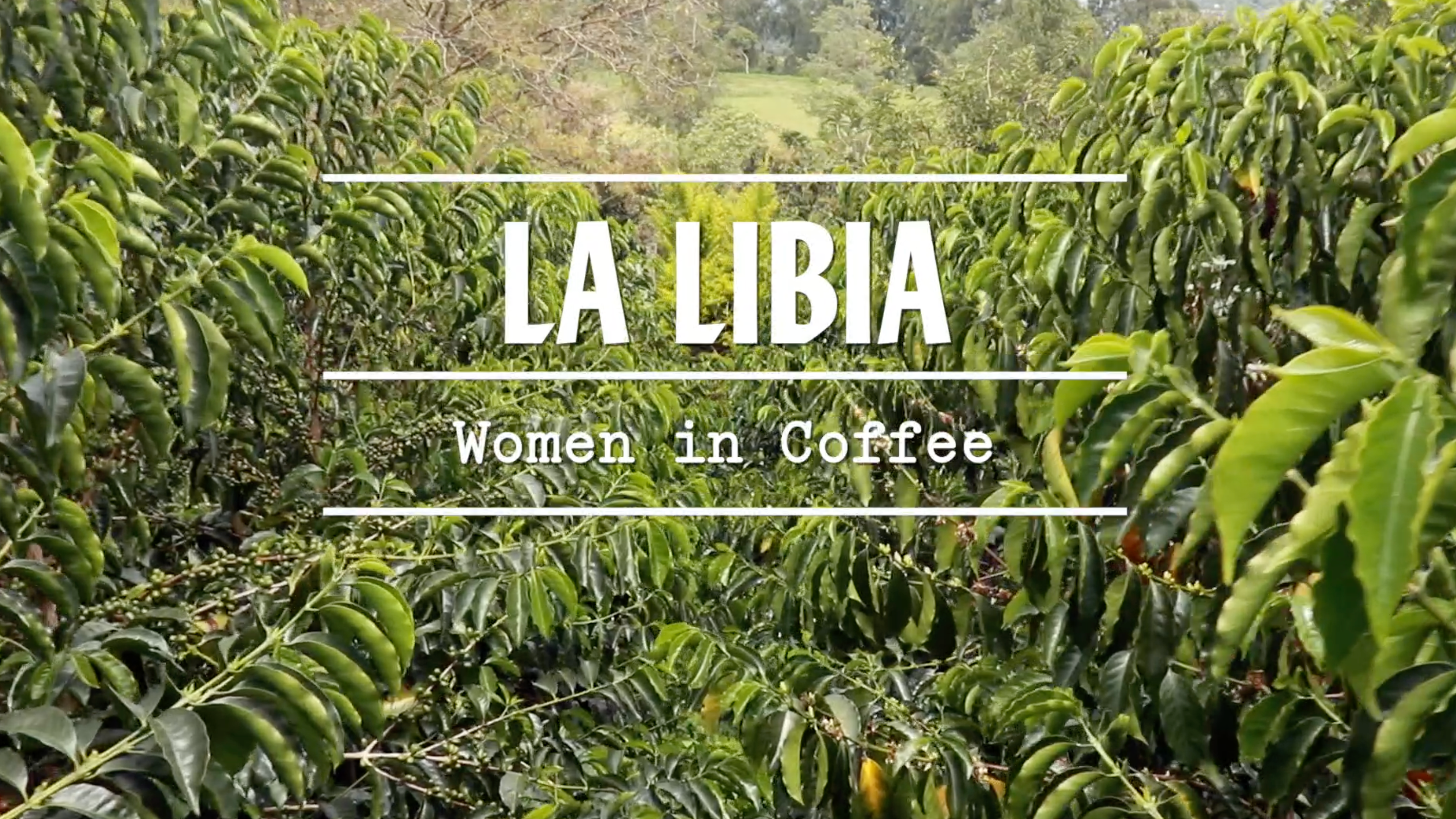 LA LIBIA - WOMEN IN COFFEE