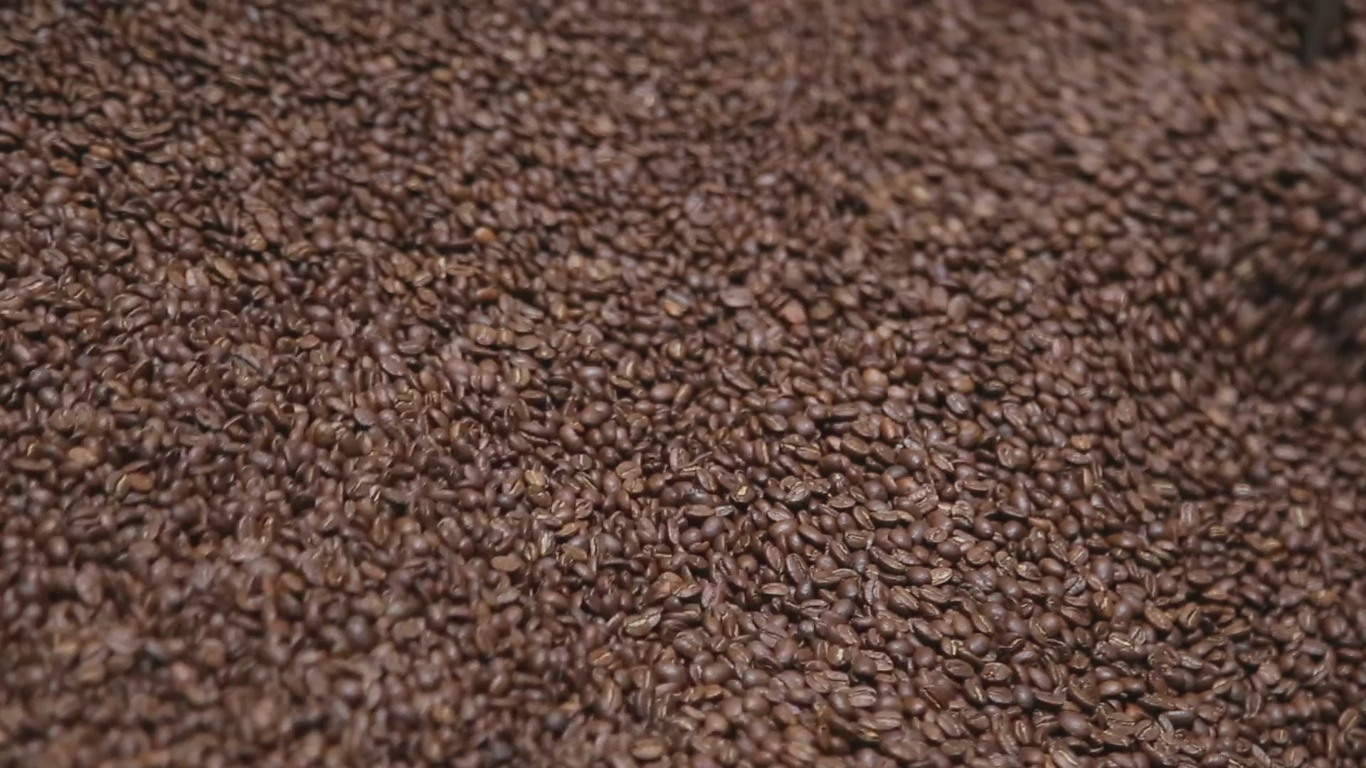 ROASTER'S PICK - COFFEE SUBSCRIPTION