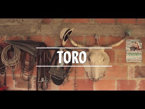 TORO - 5LB